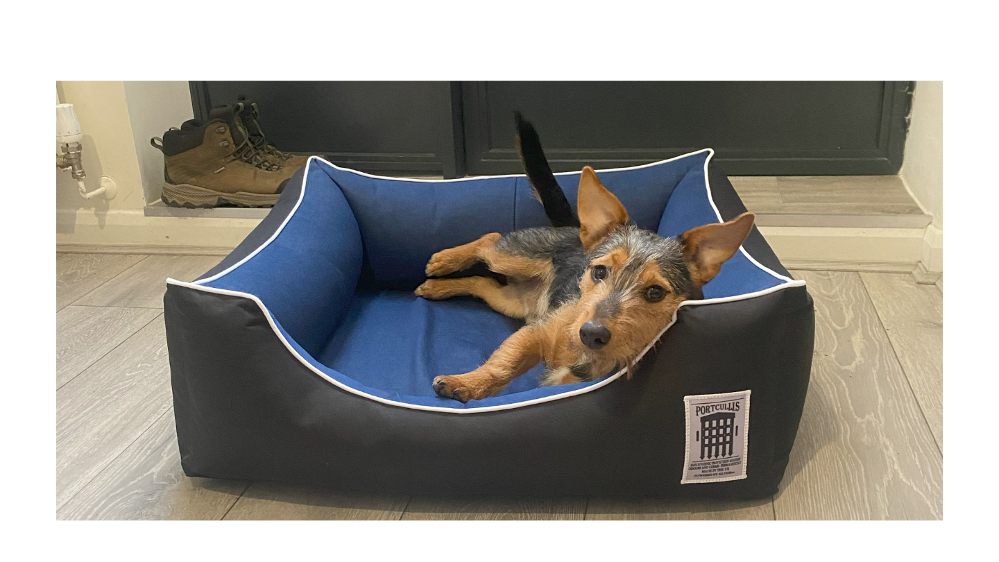 Load video: Our video features Reggie, living his best life and modelling for us in the Size 3 Settee bed